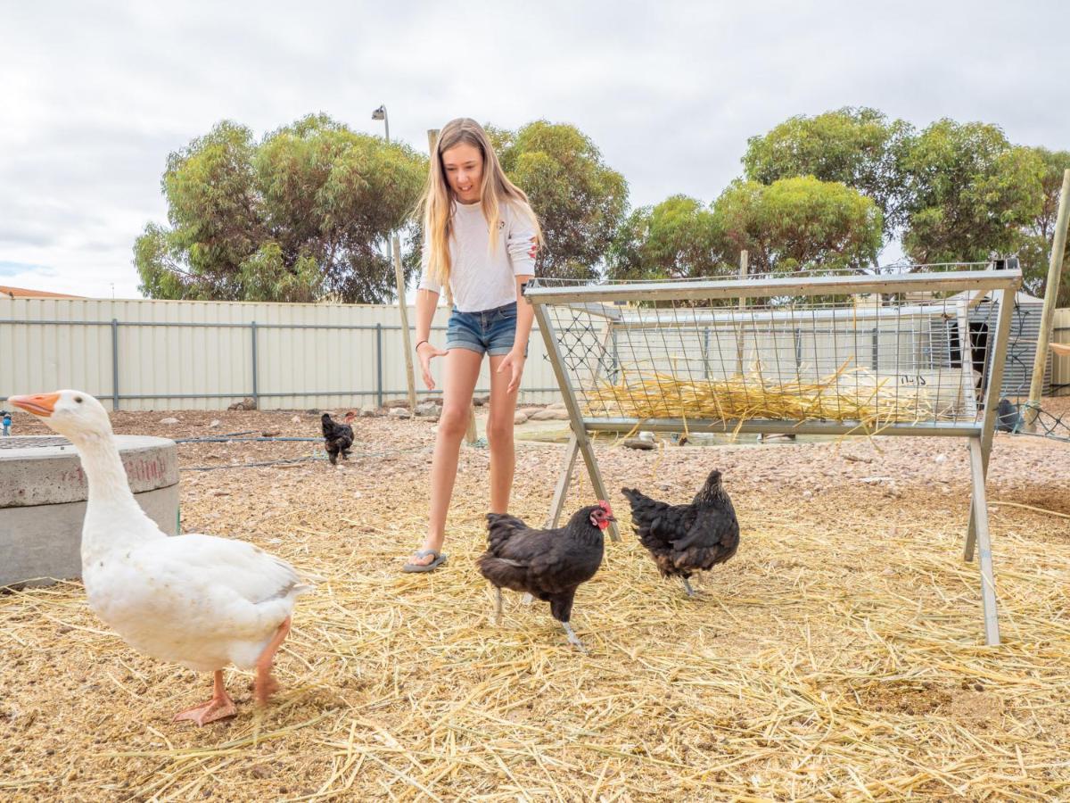 Wallaroo Holiday Park 외부 사진