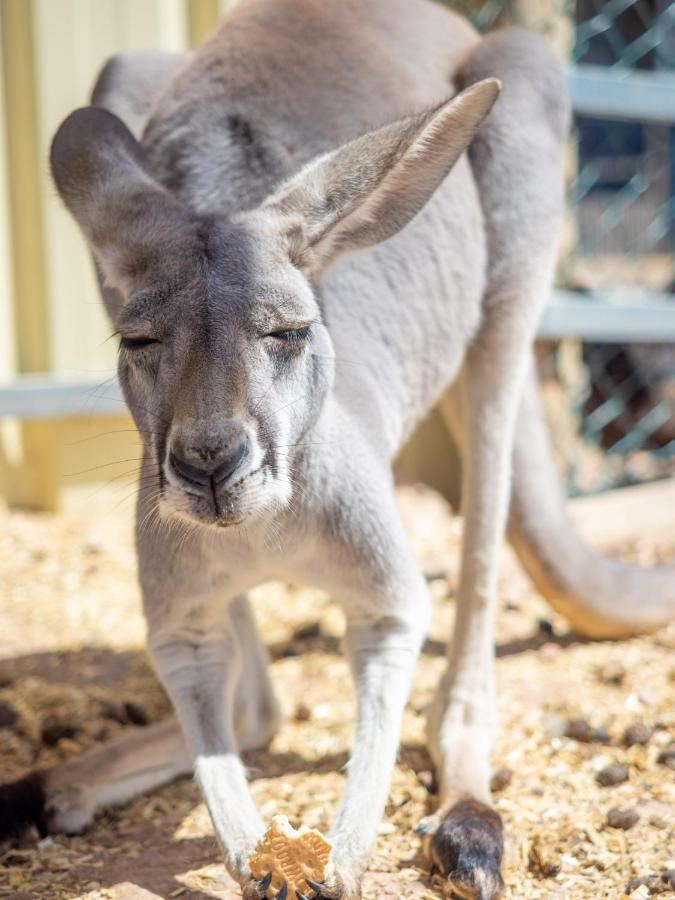 Wallaroo Holiday Park 외부 사진